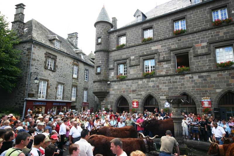 fête de la vache Salers